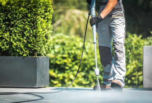 Best Sidewalk and Walkway Cleaning  in Aromas, CA