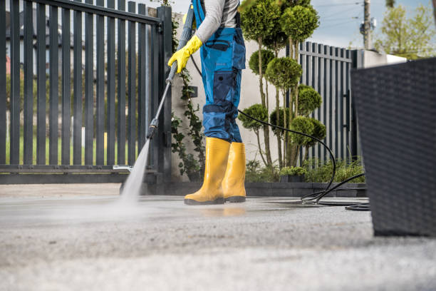 Best Driveway Pressure Washing  in Aromas, CA