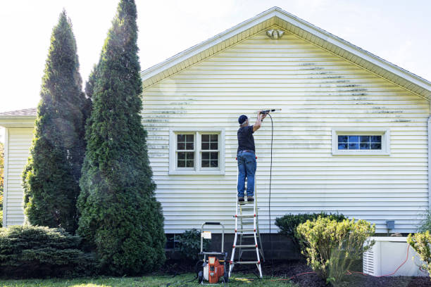 Best Gutter Cleaning  in Aromas, CA